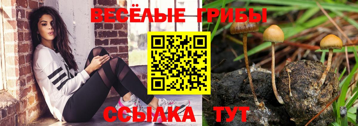 Галлюциногенные грибы Psilocybe  Галлюциногенные грибы Cubensis  Кирово-Чепецк  Вход с VPN 
